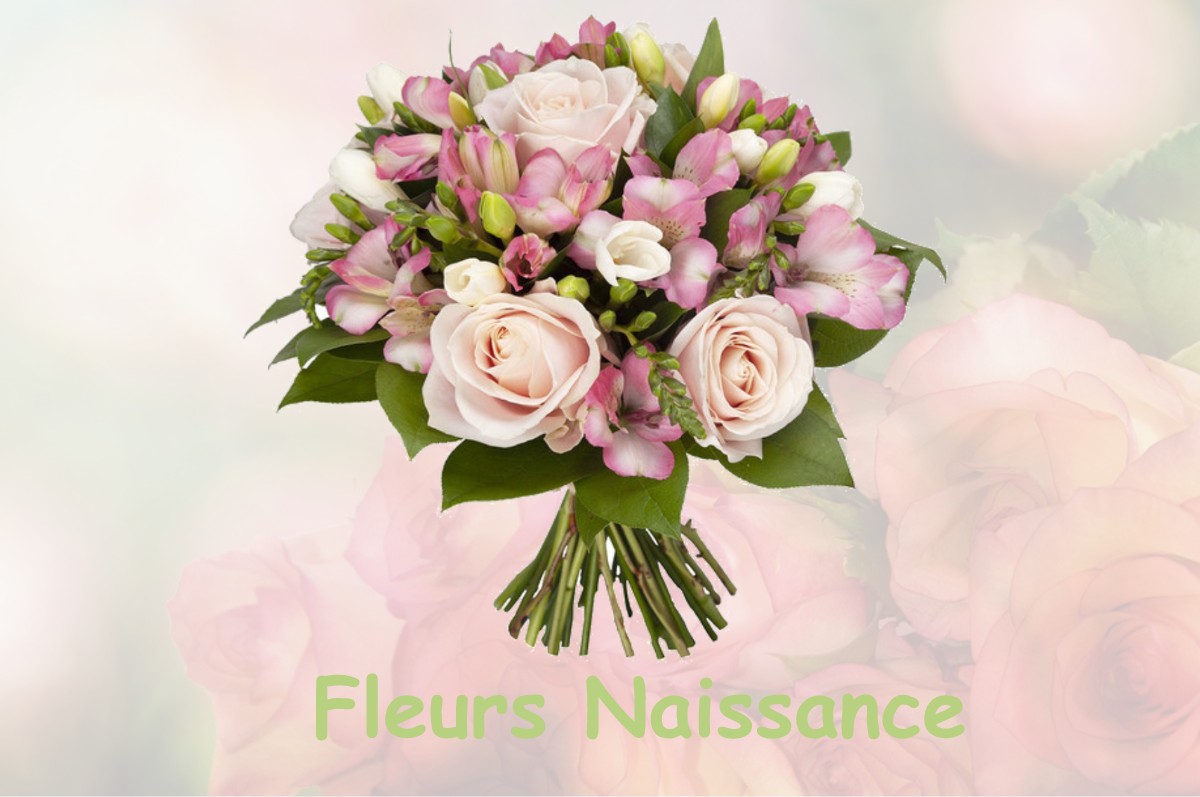 fleurs naissance VILLEMOIRIEU