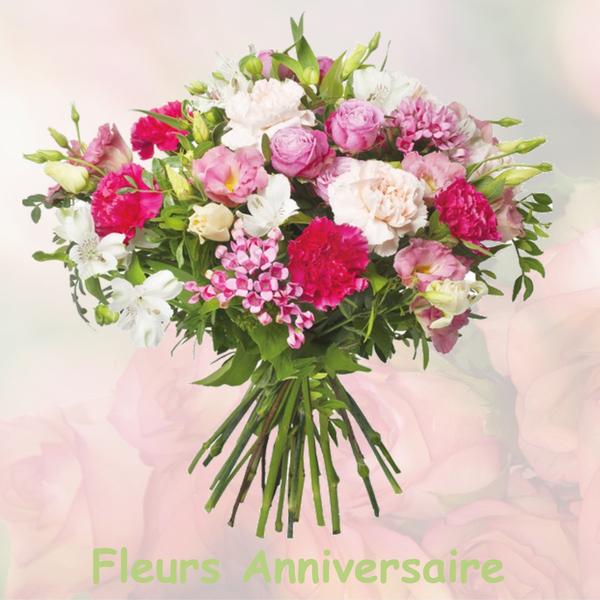 fleurs anniversaire VILLEMOIRIEU