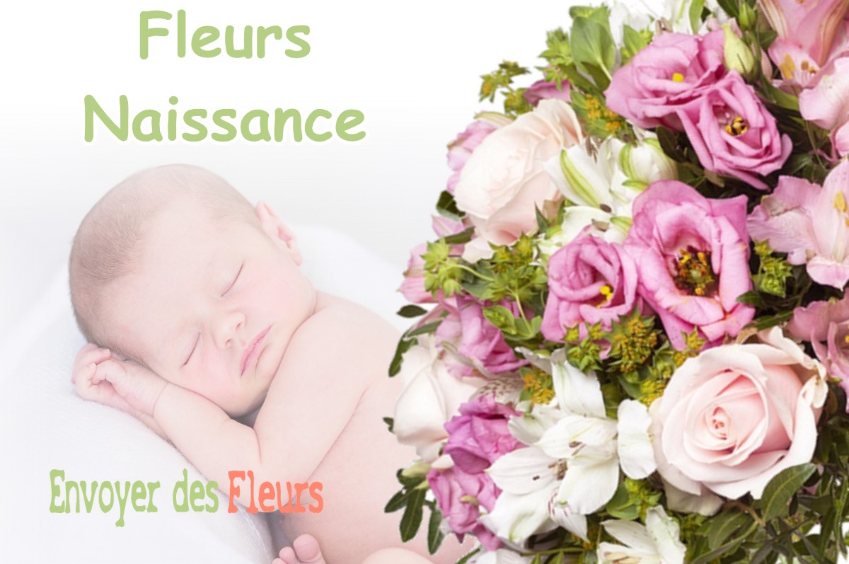 lIVRAISON FLEURS NAISSANCE à VILLEMOIRIEU