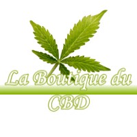 LA BOUTIQUE DU CBD VILLEMOIRIEU 